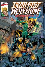Iron Fist/Wolverine (2000) #2 cover